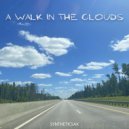 Syntheticsax - Walk in the Clouds (Original Mix)