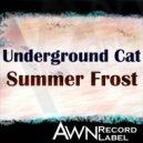 Underground Cat - Summer Frost (Original Mix)
