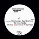 Cyanbrothers - Momentum (Original Mix)