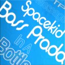 Bass Prada - The Sound Of Missing You