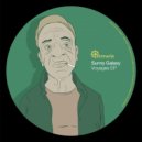 Sunny Galaxy - Something