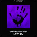 Lowkey - Feel The Fire (Original Mix)