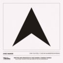 Chez Damier, Kevin Saunderson - Can You Feel It