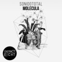 SonidoTotal - Molecula (Original Mix)