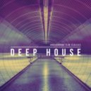 dj vasilev - present deep my mix ()