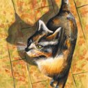 Xoul Kool - Unakite ()