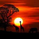 BluSky - Safari