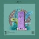 Taher.A - The Journey Of A Lizard ()