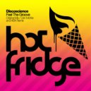 Discoscience - Feel The Groove (Original Mix)