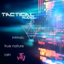 Intrinzic - True Nature (Original Mix)