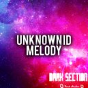 UNKNOWN ID - Long Night (Original Mix)