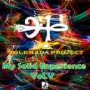 Tolemada Project - Anti Techno