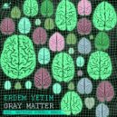 Erman Danisment - Gray Matter