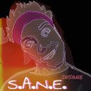 S.A.N.E. - Insane (Original mix)