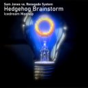 Sam Jones vs. Renegade System - Hedgehog Brainstorm