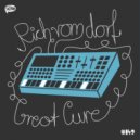 Rich Vom Dorf - Great Cure