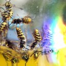 MYCHILLY:CRUST - OSA ()