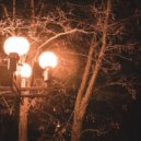 Anyway the Ocean - Leafall ()