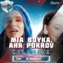 MIA BOYKA, Аня Pokrov - Снежинка (DJ Terre & Nervouss Radio Edit)