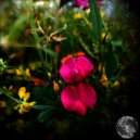 Siguiente Tecnologia - Opposite Direction