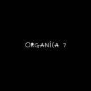 DIMTA - ORGANICA MIX PART 7 (Compiled & Mixed by DIMTA)