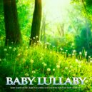 Baby Sleep Music & Sleep Baby Sleep & Baby Lullaby Academy - Sounds of the Forest Baby Sleep Music ()