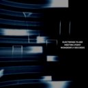 Electronic Fluke - Meeting Point