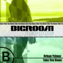 Orkun Yılmaz - Take You Down ()