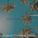 Tropical Christmas Moods - Christmas at the Beach O Christmas Tree