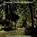 Tropical Christmas Curation - Silent Night, Chrismas Shopping ()