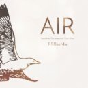 Soundtrack For Antarctica & Zach Shaw - Air (R&BeeMix)