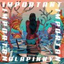 Olapinny - Important