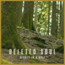 Deleted Soul - Secret In A Hole (Original mix)