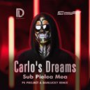 Carla\'s Dreams - Sub Pielea Mea (PS_PROJECT & DANLUCKY Remix)