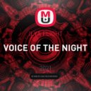 ILYA FLIGHT - VOICE OF THE NIGHT