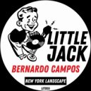 Bernardo Campos - New York Landscape