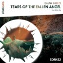 Drunk Breeze - Tears Of The Fallen Angel (Extended Mix)