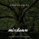 Angelillo Dj - Mixdown ()