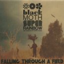 Black Moth Super Rainbow - Smog in Cities