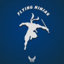 Aerophoniks - Feather Lite