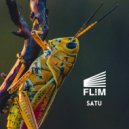 Flim - The Third Time