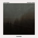 Janis Dzenis - Greater Than Us