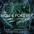 Dominik Jesz & Heela - Now & Forever (Nightcore Version)