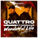 Quattro & Dziemian - Wonderful Life (feat. Dziemian) (Extended Mix)