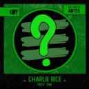 Charlie Rice - PRTY TIME (Antss Remix)