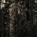 Francois Dillinger - Giving In (Original Mix)