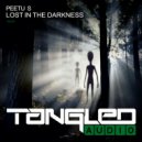 Peetu S - Lost In The Darkness (Original Mix)