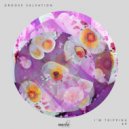 Groove Salvation - The Bee (Original Mix)