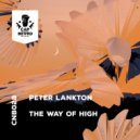 Peter Lankton - The Way of High (Original Mix)