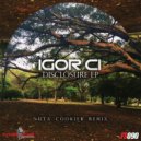 Igor Ci  - This is Disclosure (Nuta Cookier tech Remix)